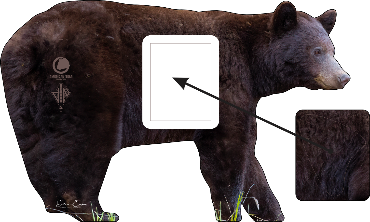 American Bear Foundation Combo Tag
