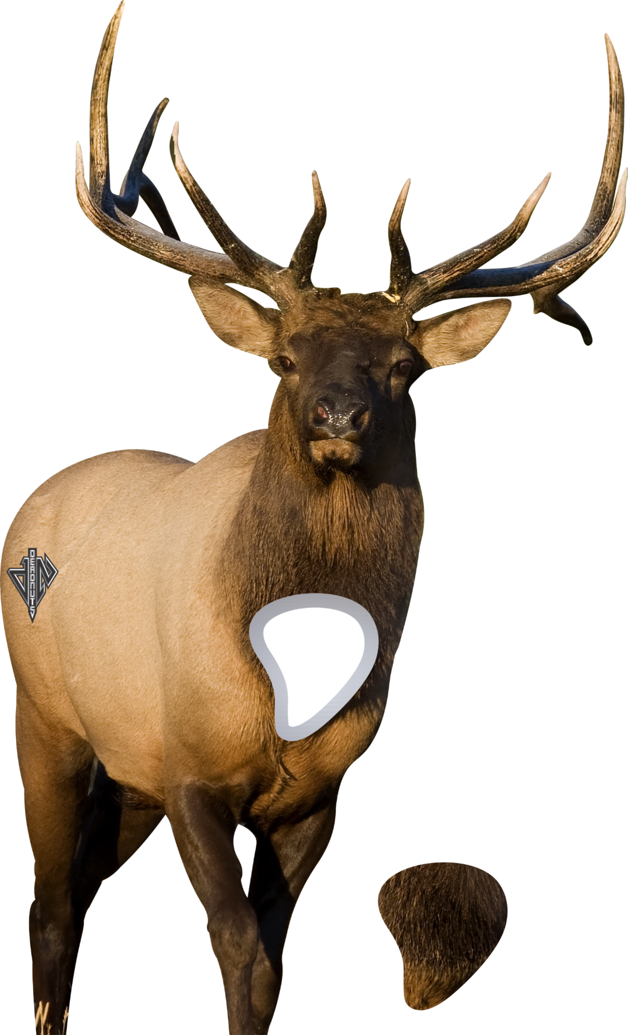 Elk Bundle (Frontal Bull, Broadside Bull)
