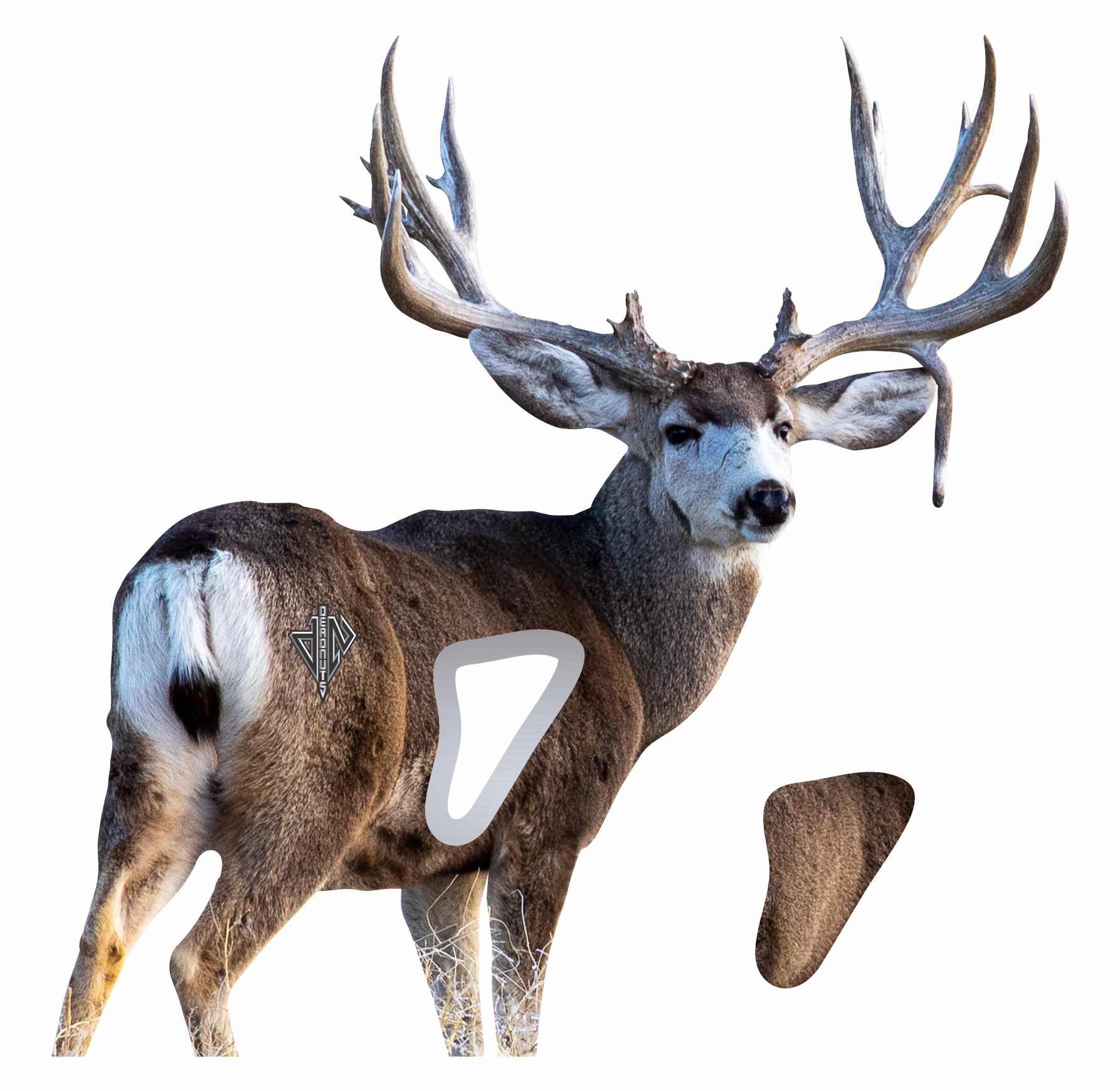 Western Bundle (Elk, Mule Deer, Antelope)