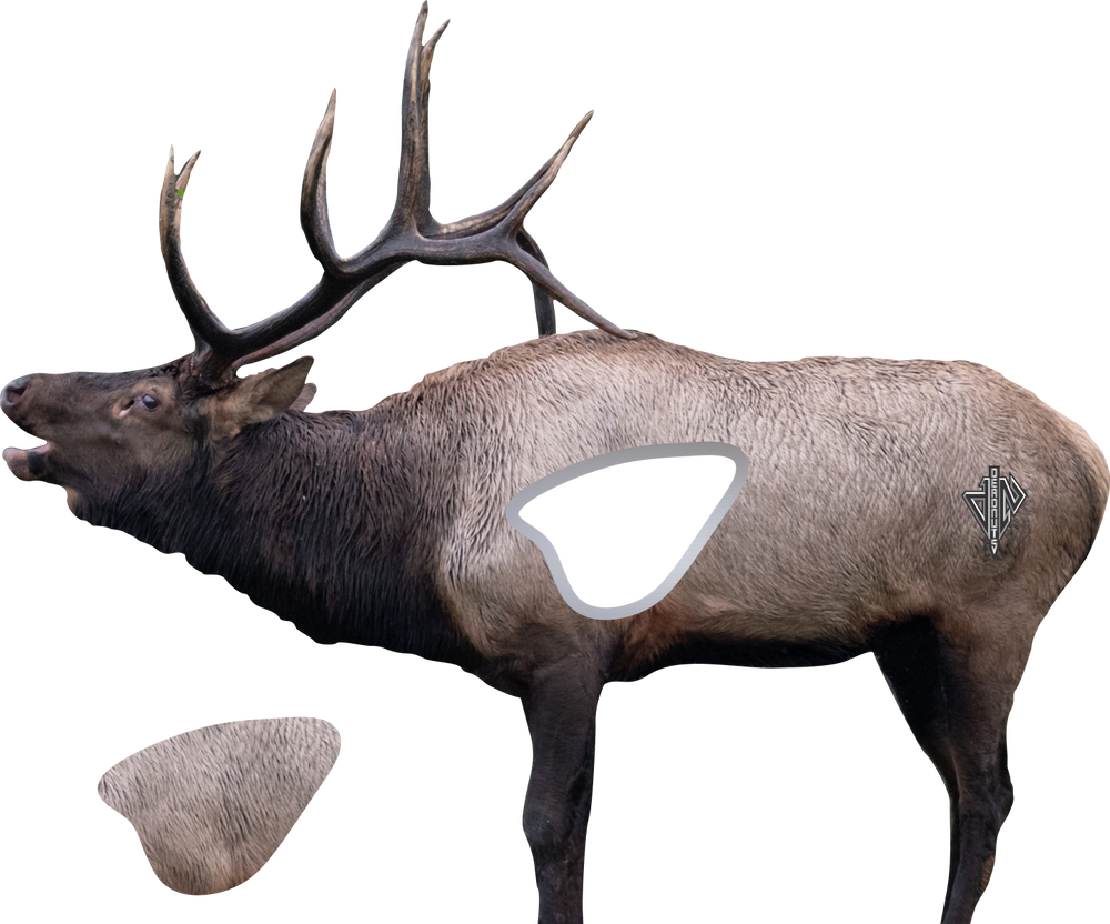 2D Bull Elk Broadside Target