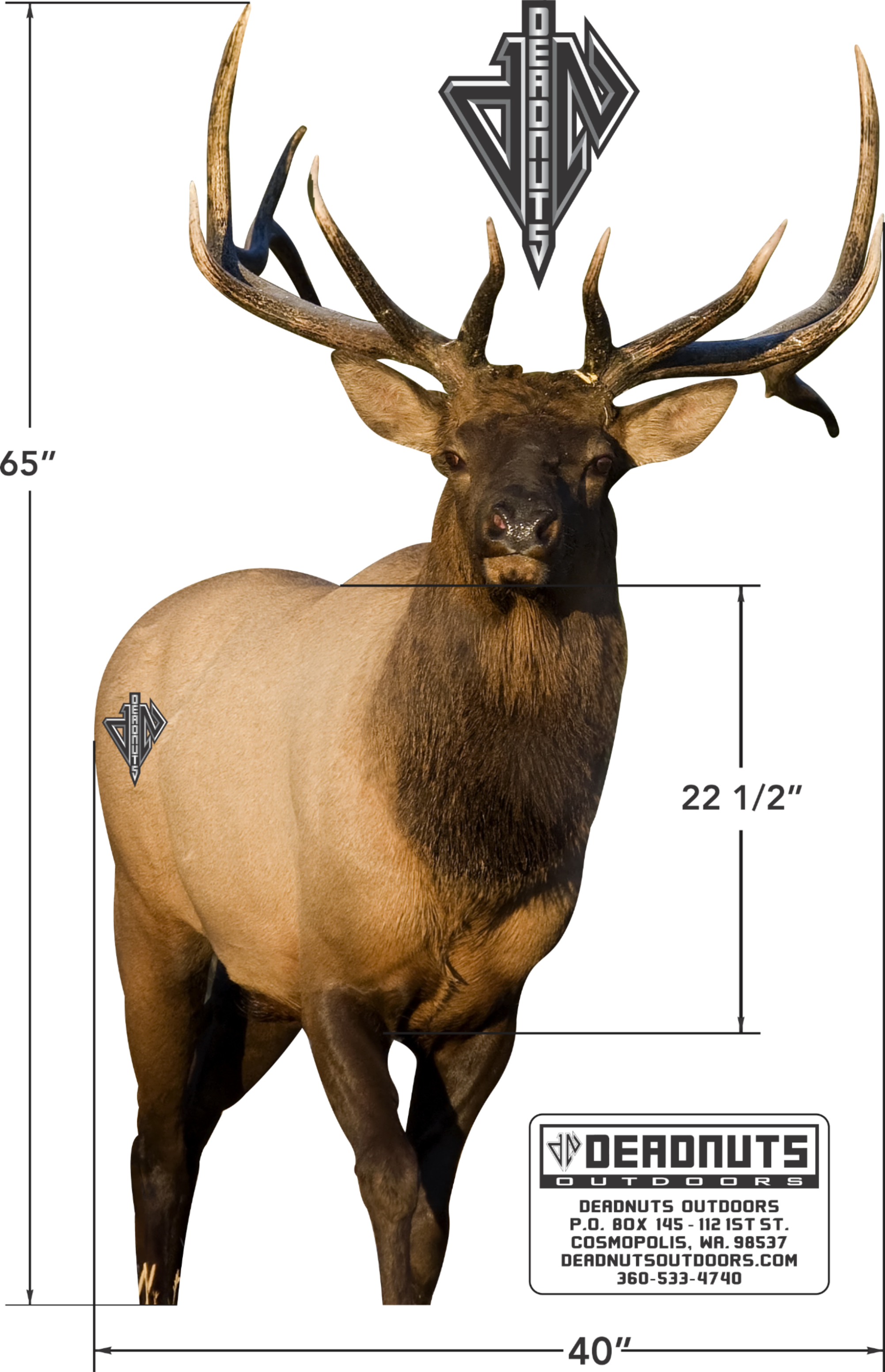 2D Bull Elk Frontal