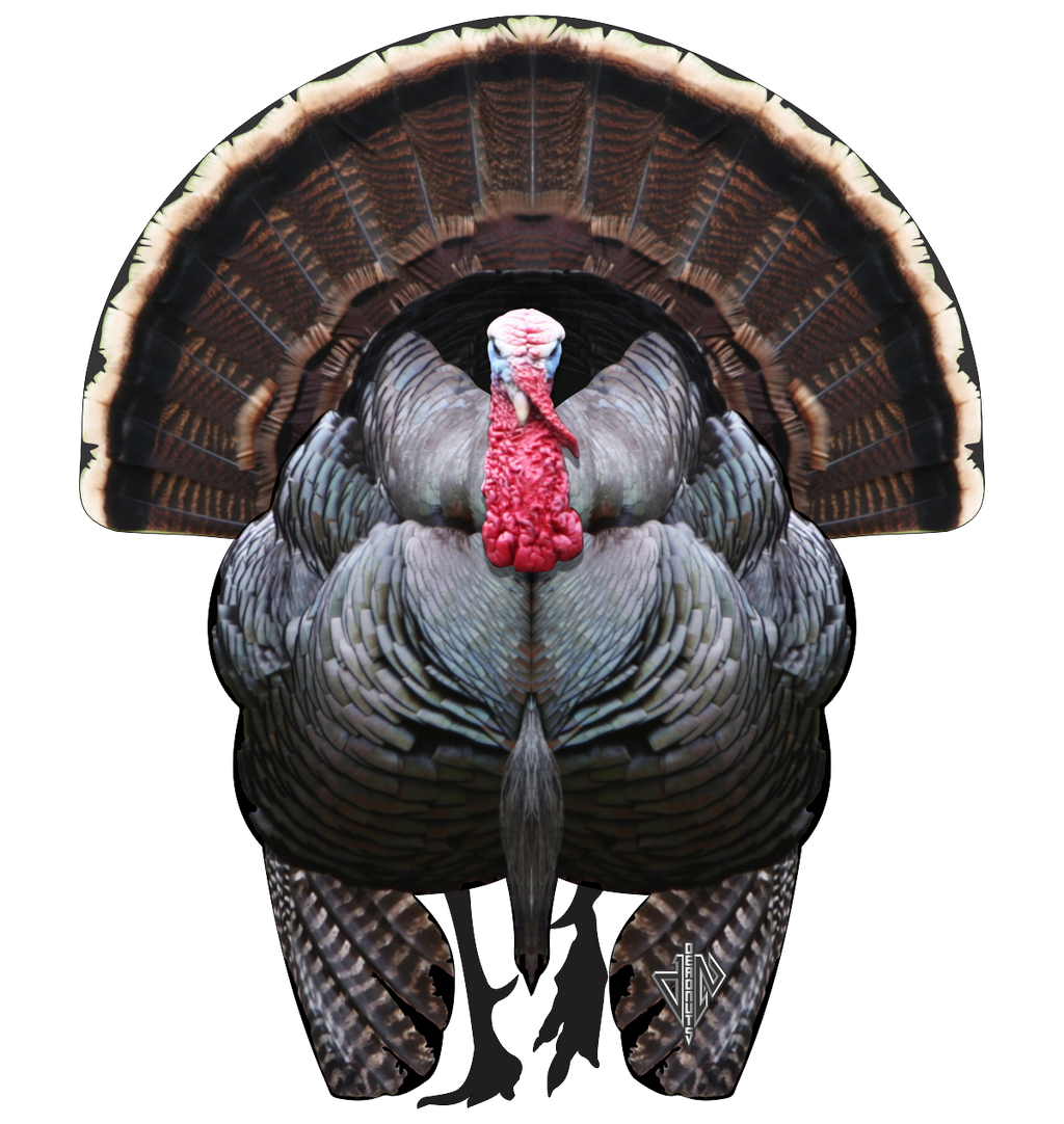 Rinehart Turkey Targets: Because Every Shot Counts When That