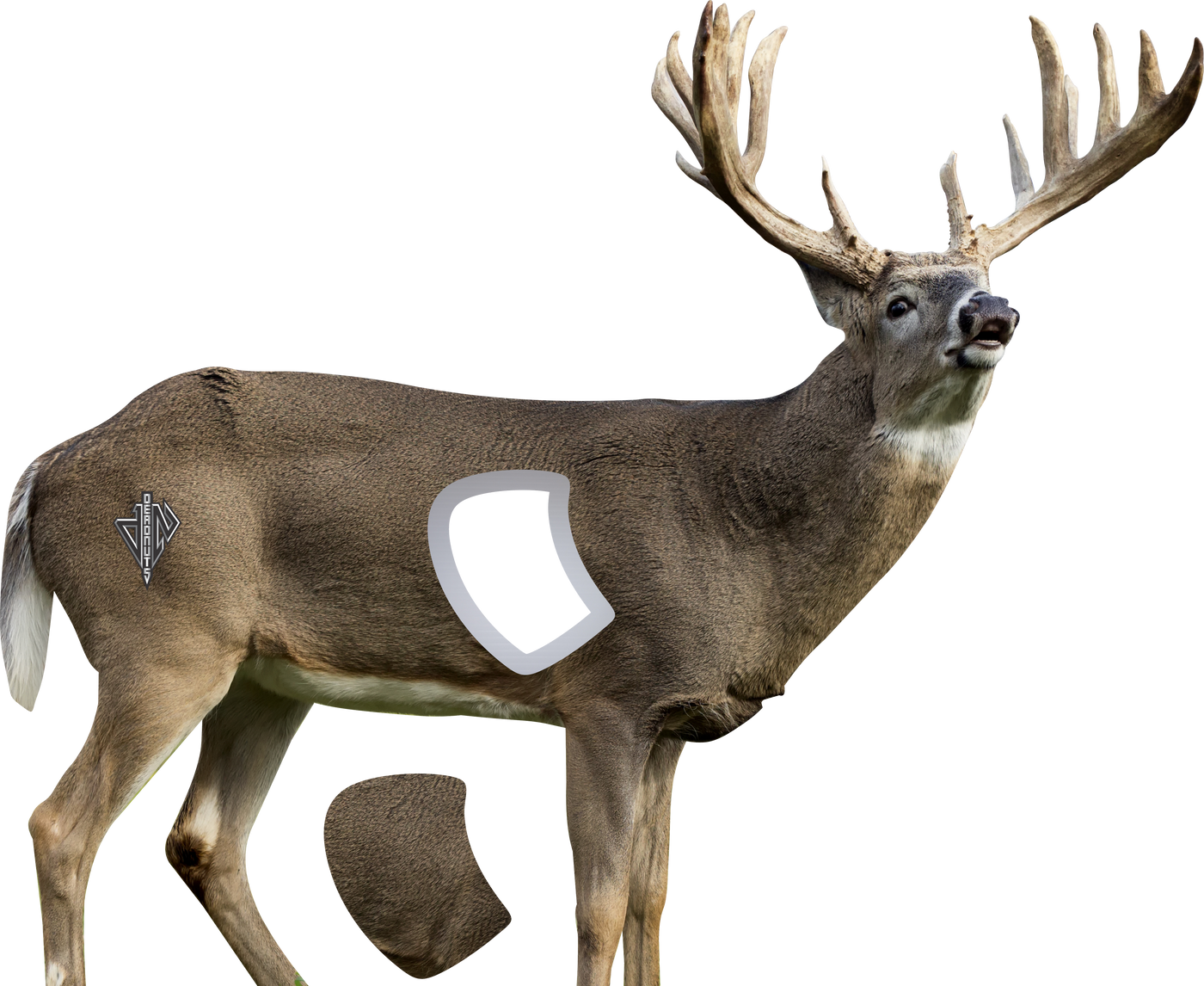 2D Whitetail Broadside Target